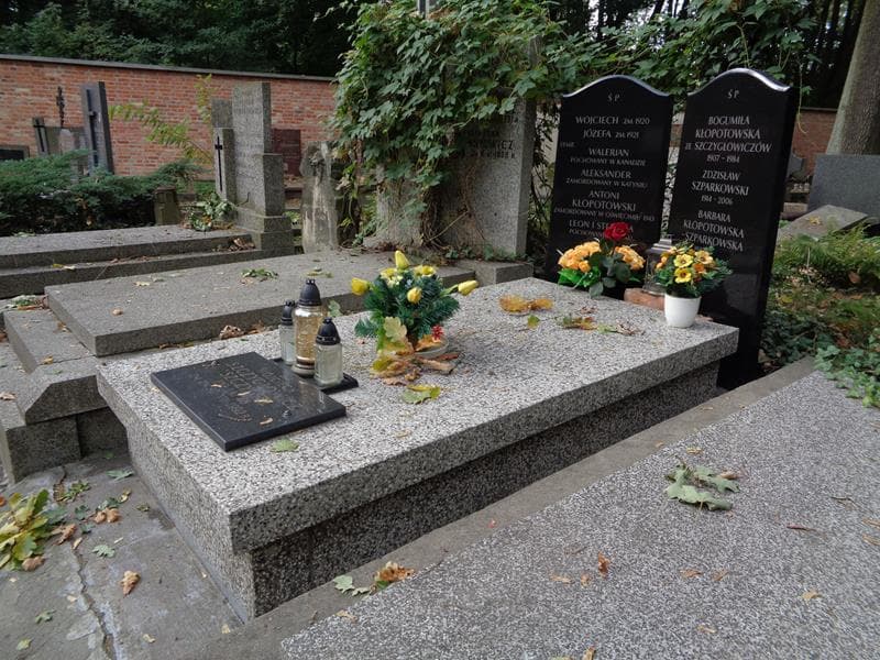 Zdjęcie grobu: Antoni Kłopotowski