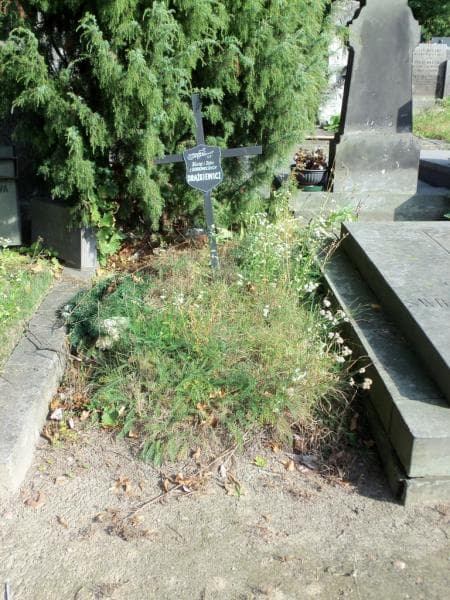 Zdjęcie grobu: Zofia Drążkiewicz