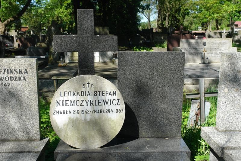 Zdjęcie grobu Stefan Niemczykiewicz (2)