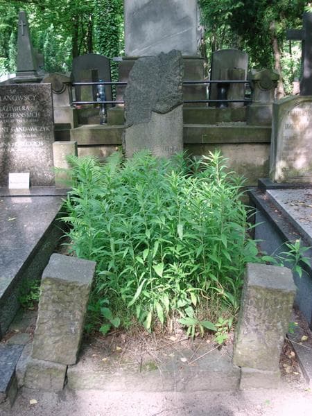 Zdjęcie grobu Henryk Dromlewicz (1)