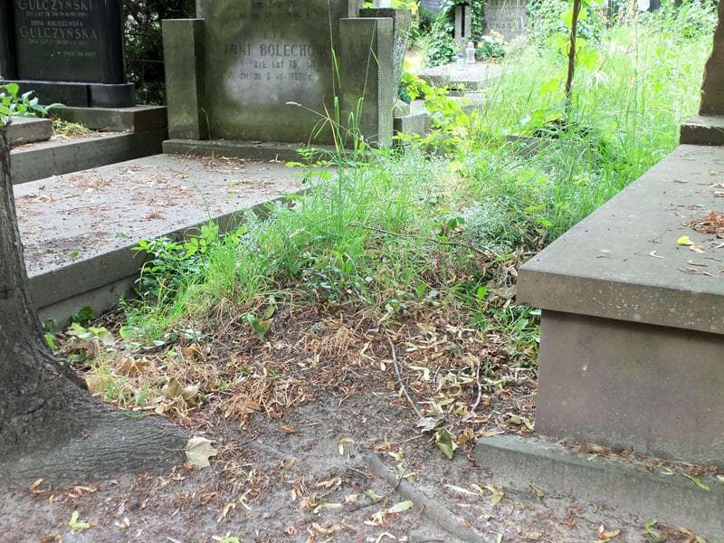 Zdjęcie grobu Franciszek Kozłowski (1)