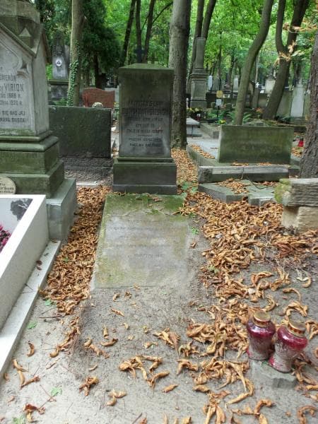 Zdjęcie grobu: Mieczysław Dowmont-Siesicki