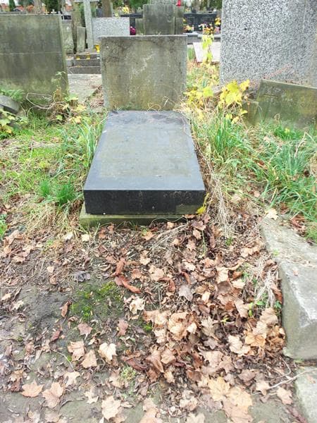 Zdjęcie grobu: Zygmunt From