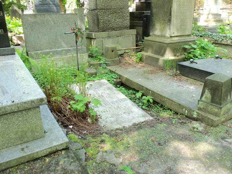 Zdjęcie grobu Witold Malukiewicz (1)