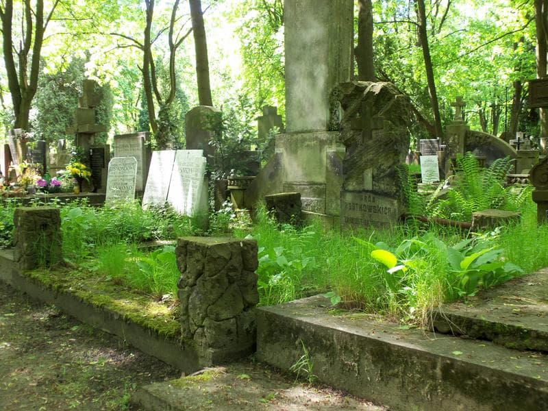 Zdjęcie grobu Rostkowscy (1)