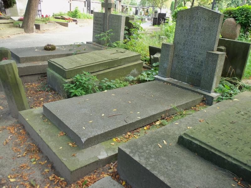 Zdjęcie grobu Wanda Borowska (1)