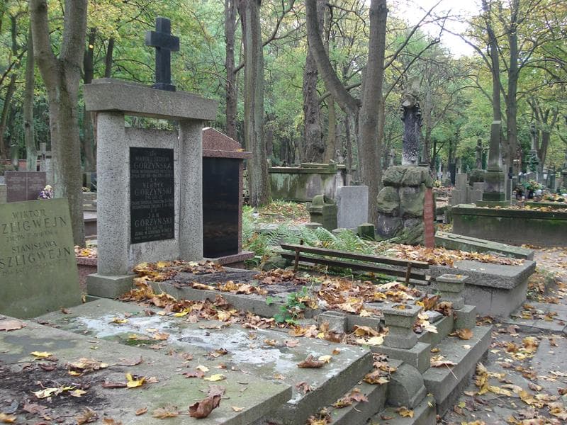 Zdjęcie grobu Henryk Górzyński (1)