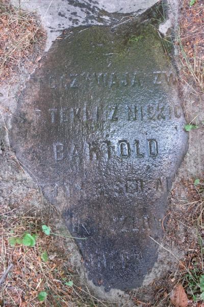 Zdjęcie grobu Tekla Bartold (2)