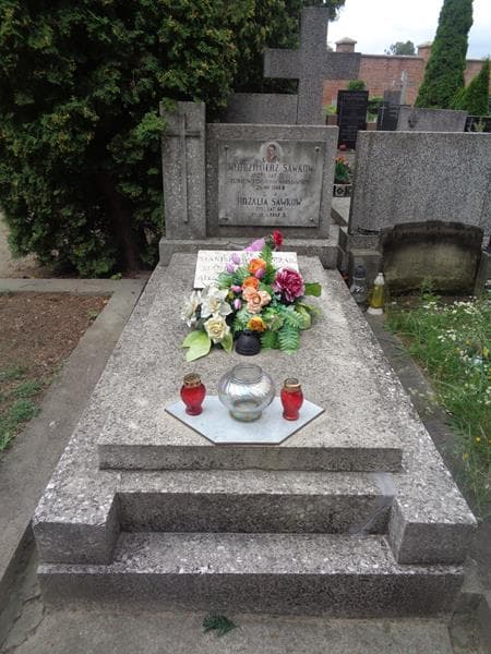 Zdjęcie grobu Stanisław Walczak (1)