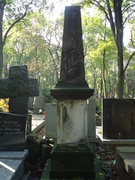 Zdjęcie grobu Bolesław Czarniecki (1)