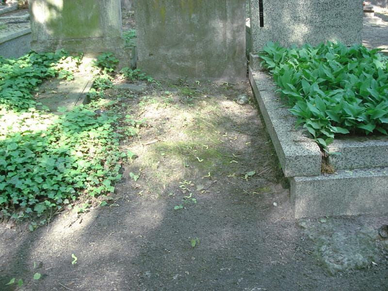 Zdjęcie grobu: Pole Grobowe