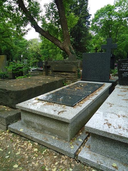 Zdjęcie grobu Wanda Aleksandra Chrząszcz (1)