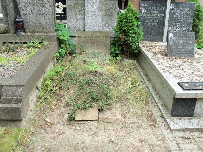 Zdjęcie grobu: Mieczysław Markusfeld