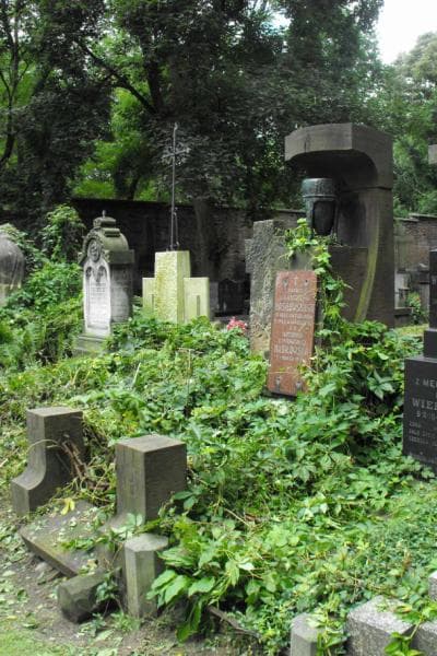 Zdjęcie grobu Antonina Nasiłowska (1)