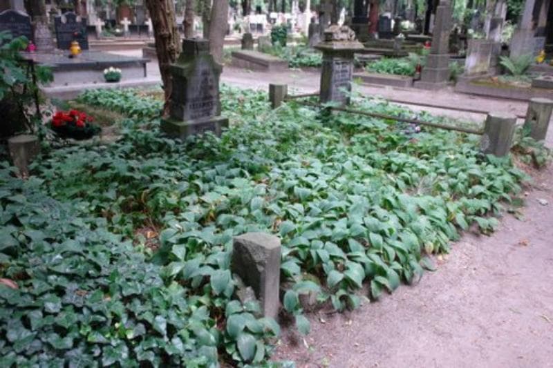 Zdjęcie grobu Marja Żerańska (1)