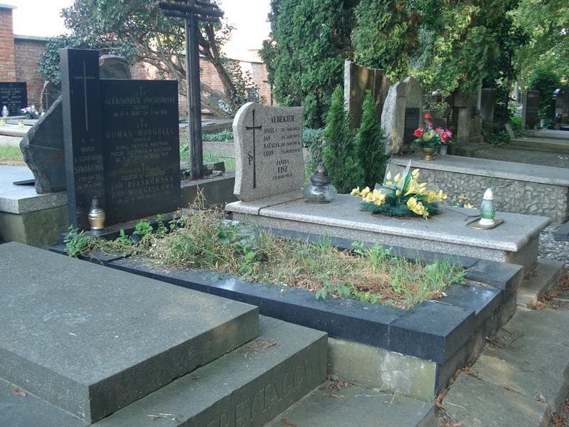 Zdjęcie grobu: Aleksander Piaskowski
