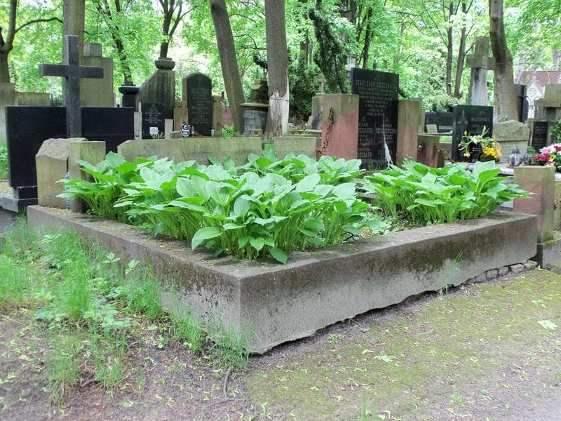 Zdjęcie grobu Paweł Antoni Okoński (1)