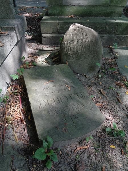 Zdjęcie grobu Zofja Kozłowska (2)