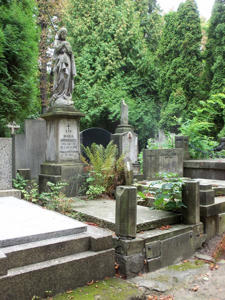 Zdjęcie grobu Emil Busbach (1)
