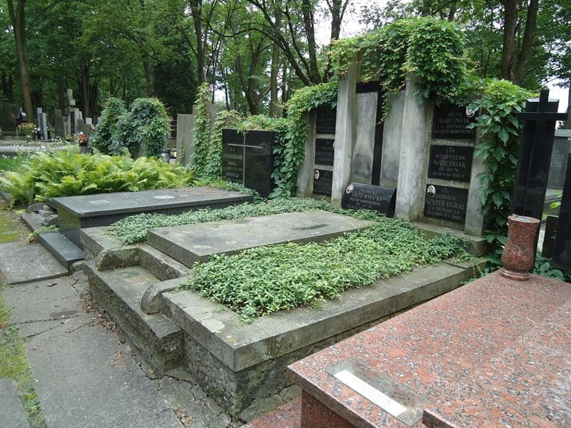 Zdjęcie grobu Janina Drzewiecka (1)