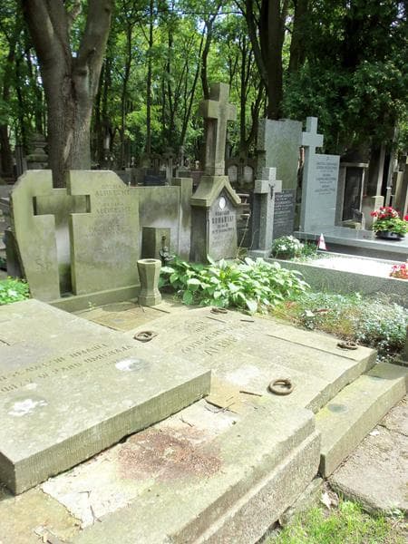 Zdjęcie grobu Krysia Albrecht (1)