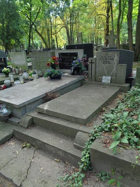 Zdjęcie grobu: Wincenty Szmidt