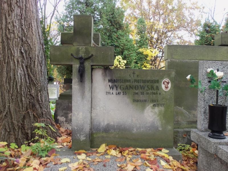 Zdjęcie grobu Władysława Wyganowska (2)