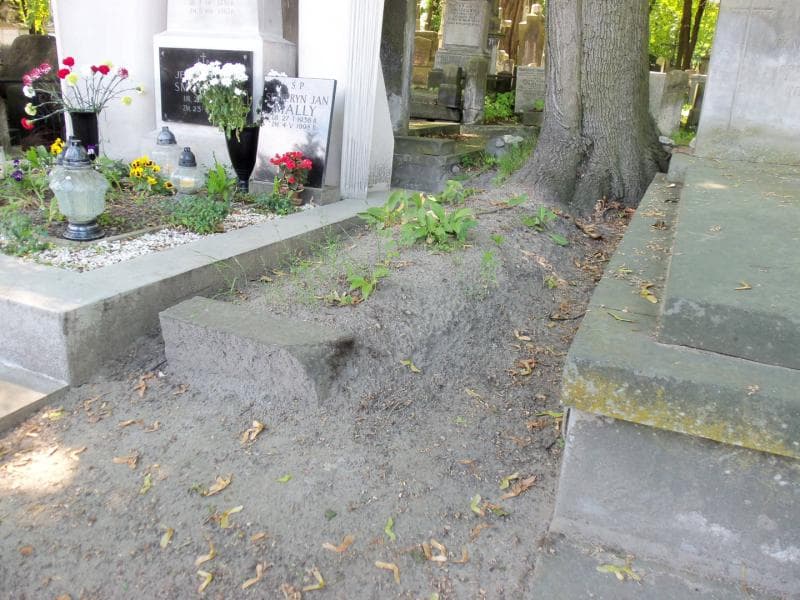 Zdjęcie grobu Benedykt Chmielewski (1)