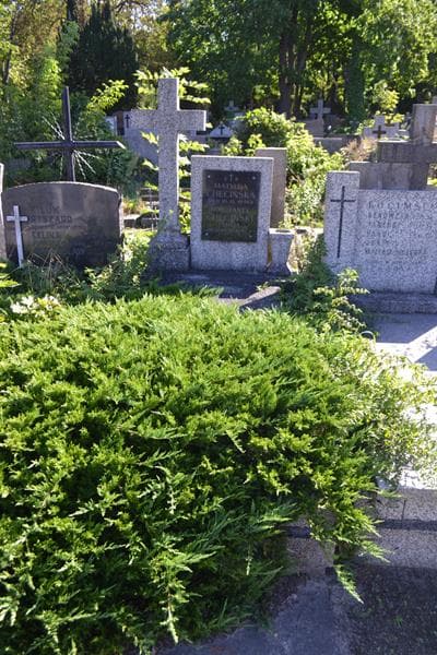Zdjęcie grobu Matylda Chęcińska (1)
