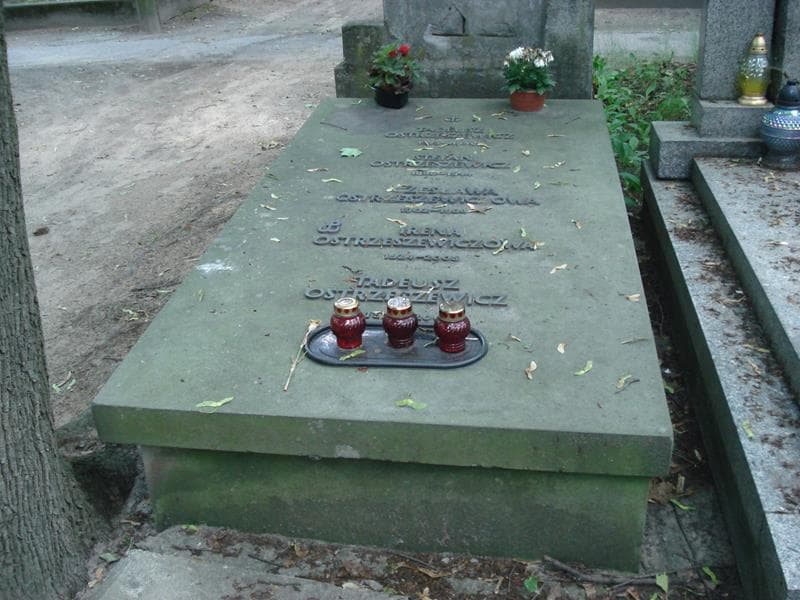 Zdjęcie grobu: Stefan Ostrzeszewicz
