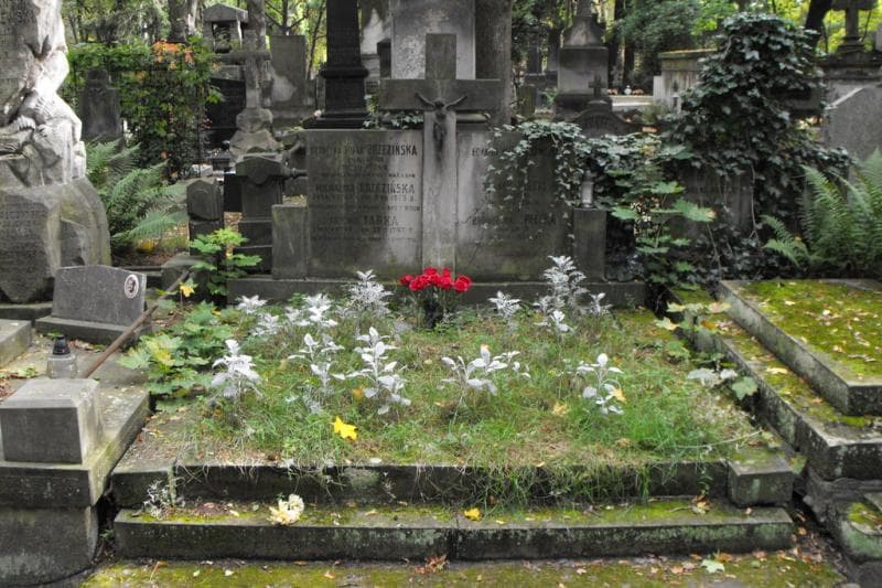 Zdjęcie grobu: Krystyna Zofia Brzezińska