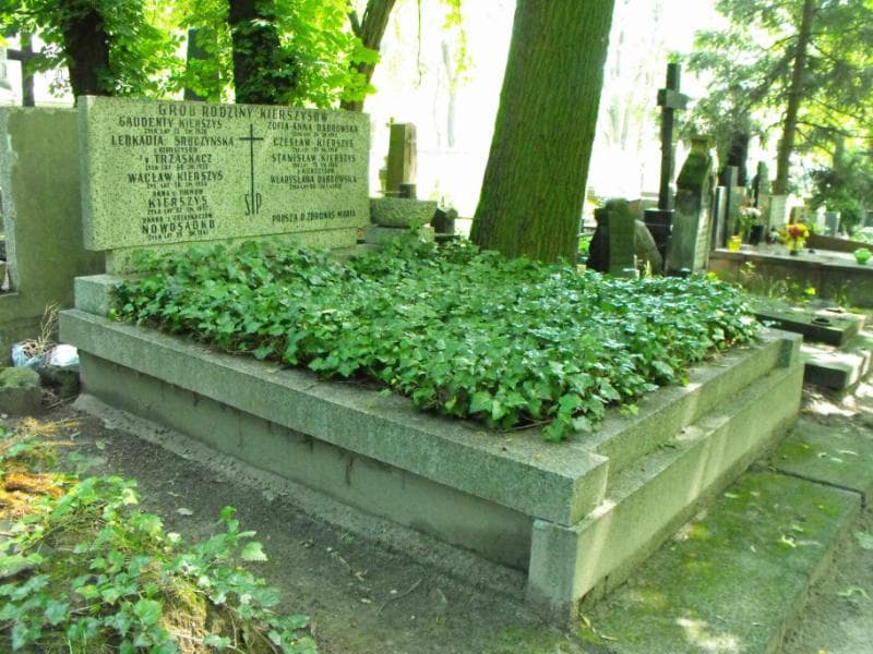 Zdjęcie grobu Zofia Anna Dąbrowska (1)