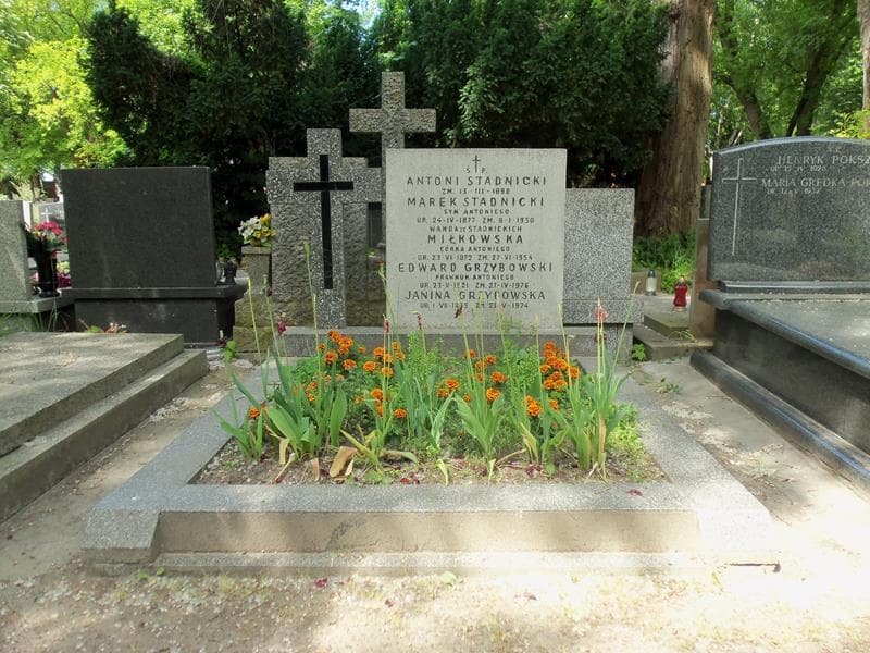 Zdjęcie grobu: Edward Grzybowski