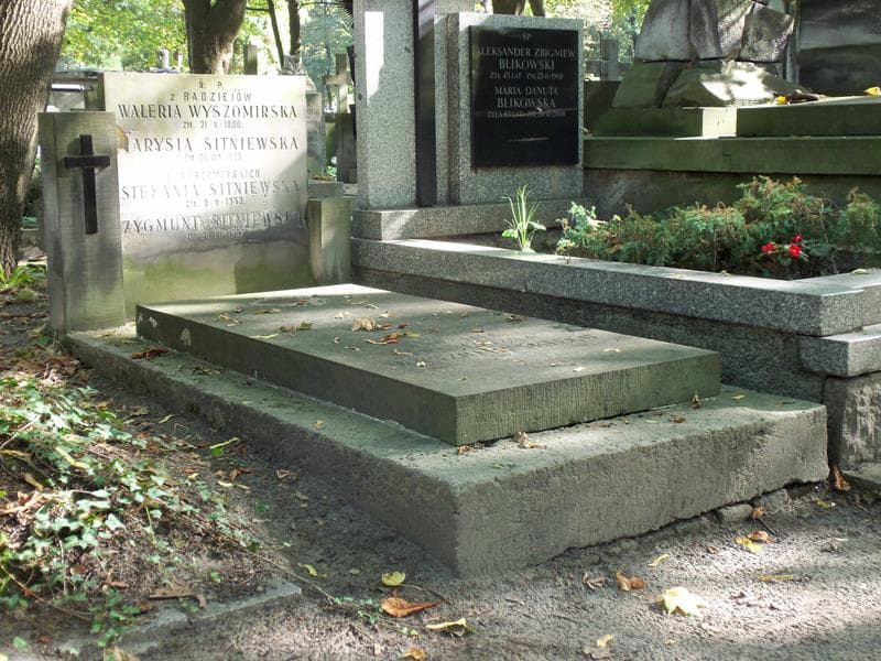Zdjęcie grobu Waleria Wyszomirska (1)