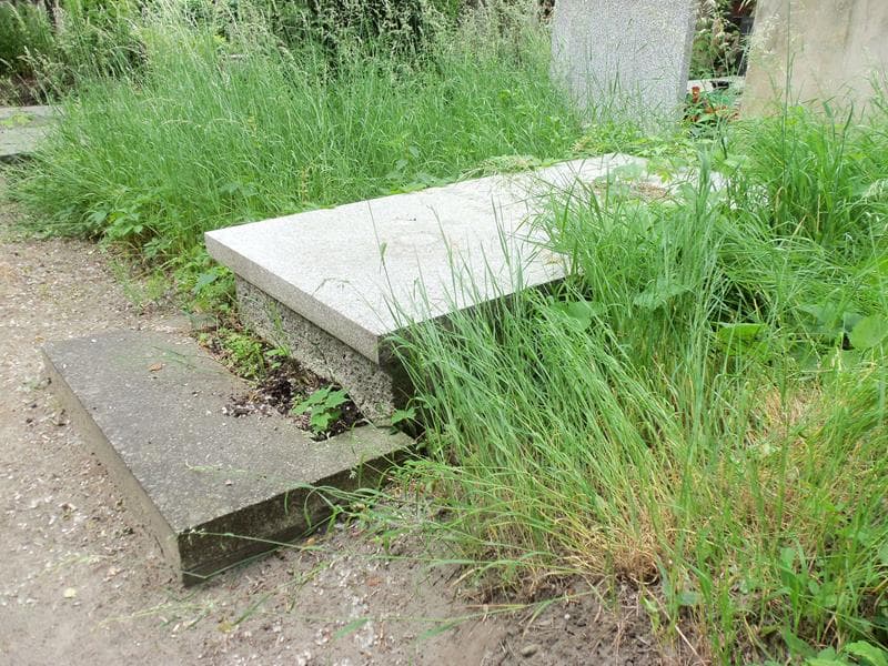 Zdjęcie grobu Barbara Żyliczowa (2)