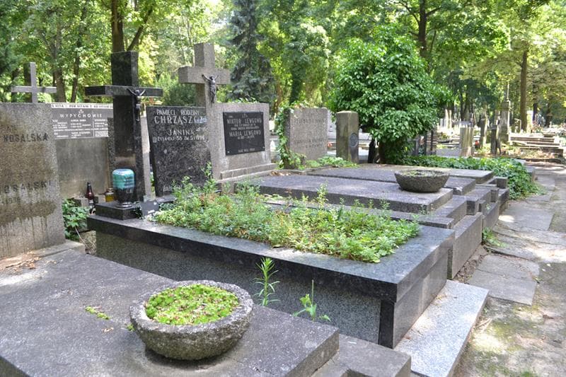 Zdjęcie grobu: Janina Chrząszcz