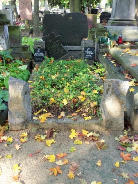 Zdjęcie grobu: Józefa Jatkowska