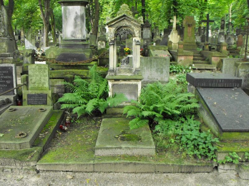 Zdjęcie grobu: Tomasz Flażyński