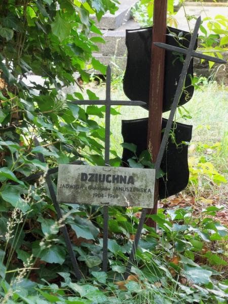 Zdjęcie grobu Jadwiga Januszewska (2)