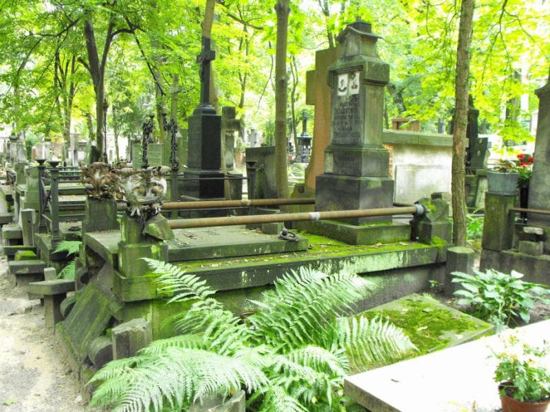 Zdjęcie grobu Aniela Trojanowska (1)
