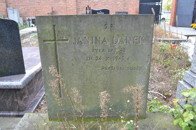 Zdjęcie grobu Janina Danek (2)