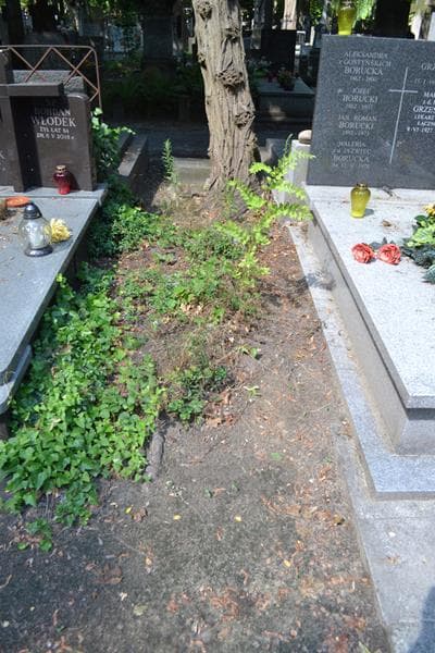 Zdjęcie grobu: Pole Grobowe