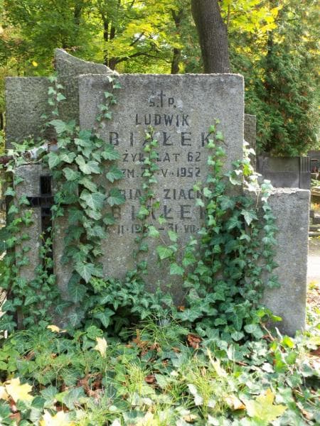 Zdjęcie grobu Ludwik Białek (2)