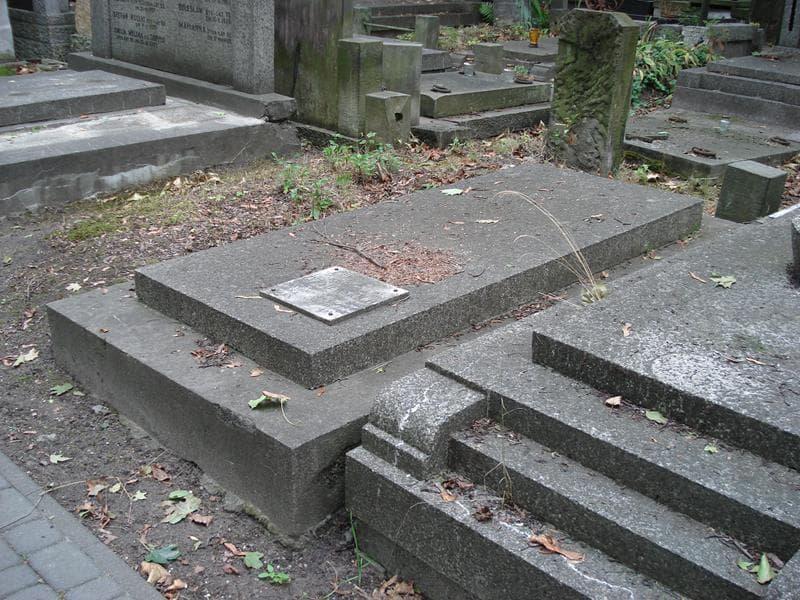 Zdjęcie grobu Jan Żyżniewski (2)