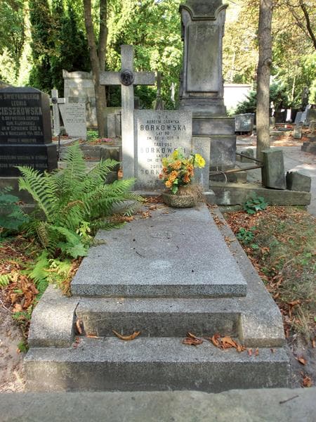 Zdjęcie grobu: Tadeusz Borkowski