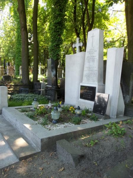 Zdjęcie grobu Seweryn Jan Mally (1)