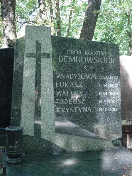 Zdjęcie grobu Walery Dembowski (2)