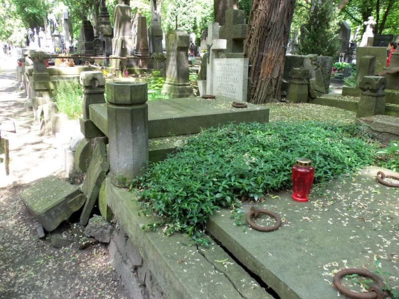 Zdjęcie grobu Teodora Dobrowolska (2)