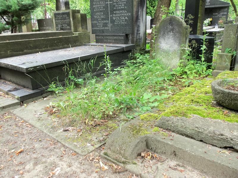 Zdjęcie grobu Anna Janicka (1)
