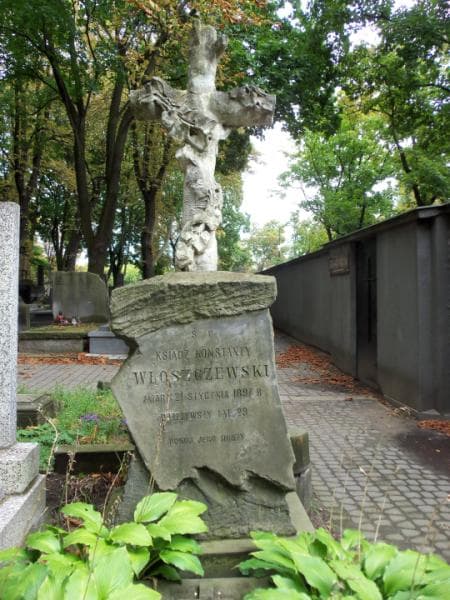 Zdjęcie grobu Konstanty Włoszczewski (2)